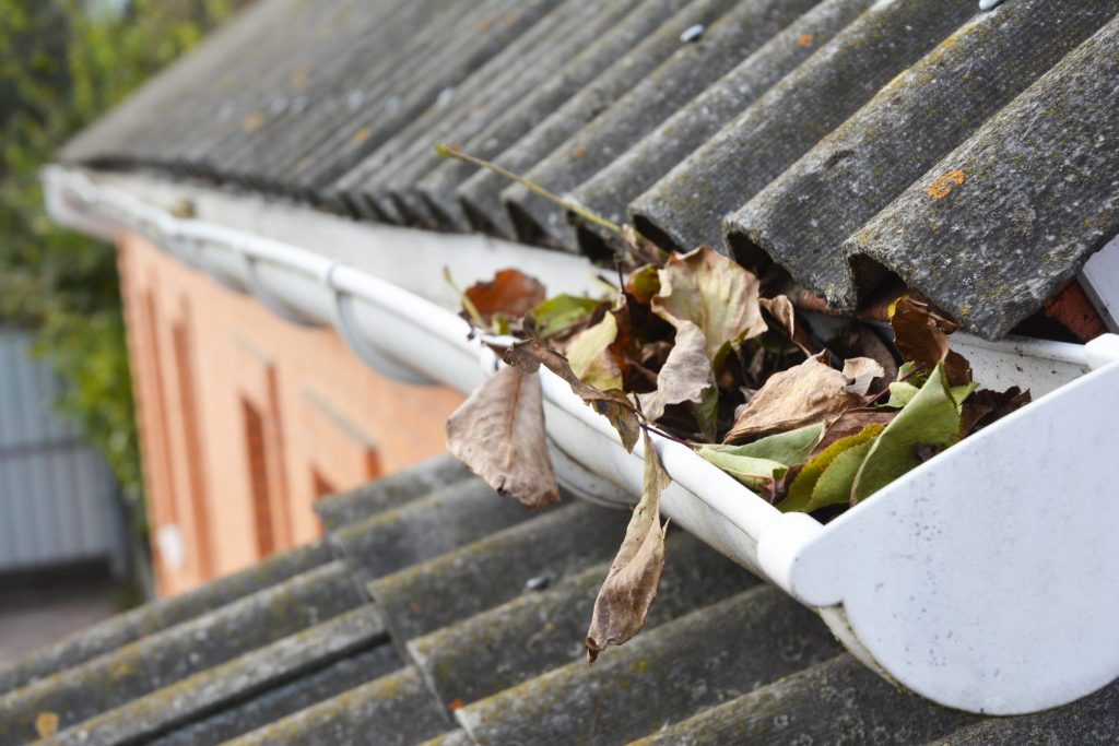 Old gutter clogged with leaves